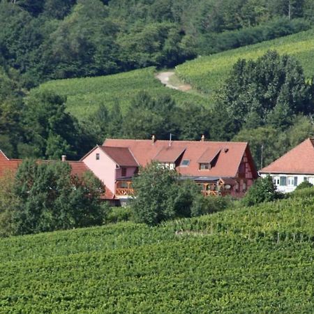 Gite Au cerf Nothalten Exterior foto